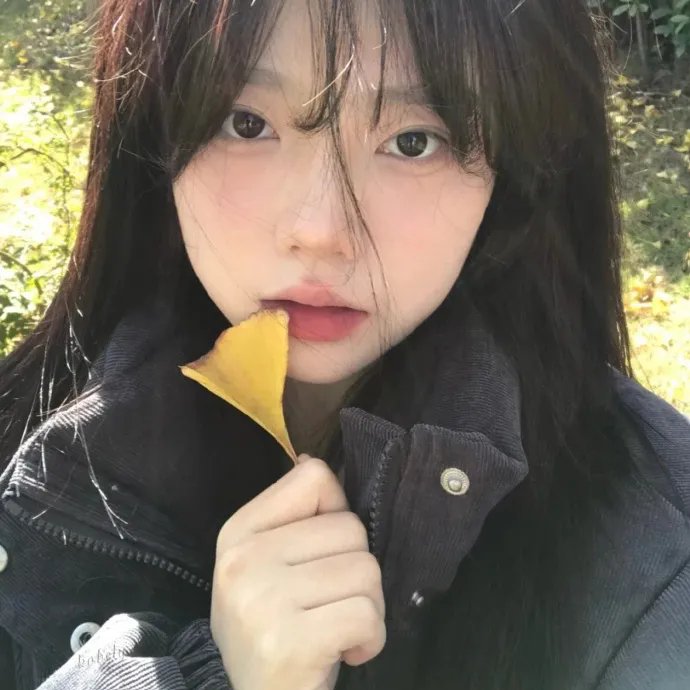 学校的墙不见了